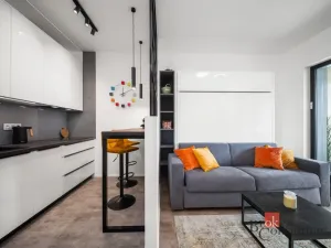 Pronájem bytu 1+kk, Praha - Žižkov, Tetauerova, 29 m2
