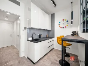 Pronájem bytu 1+kk, Praha - Žižkov, Tetauerova, 29 m2