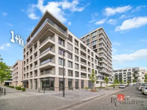 Pronájem bytu 1+kk, Praha - Žižkov, Tetauerova, 29 m2