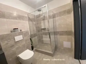 Pronájem bytu 1+kk, Ústí nad Labem - Střekov, Žukovova, 41 m2