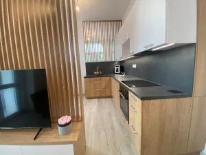 Pronájem bytu 1+kk, Ústí nad Labem - Střekov, Žukovova, 36 m2