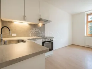 Pronájem bytu 1+kk, Praha - Strašnice, U hráze, 21 m2