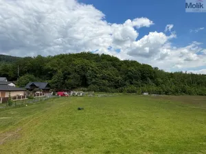 Prodej pozemku pro bydlení, Litvínov - Hamr, Lounická, 34391 m2