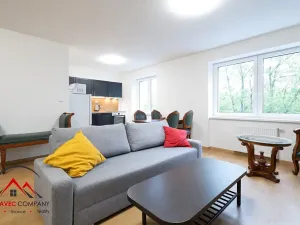 Pronájem bytu 2+1, Ostrava, Cihelní, 55 m2