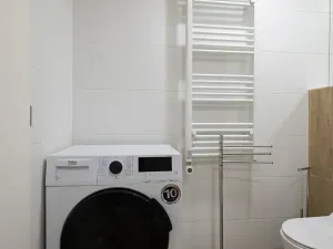Pronájem bytu 1+kk, Ostrava, Cihelní, 19 m2