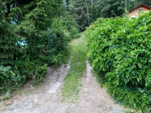Prodej zahrady, Stříbrná Skalice, 1015 m2