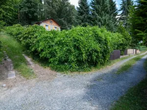 Prodej zahrady, Stříbrná Skalice, 1015 m2