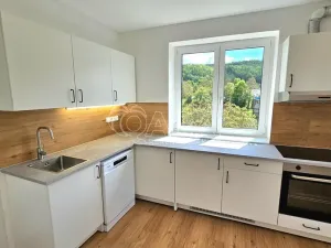 Pronájem bytu 2+1, Nižbor, Berounská, 58 m2