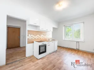 Prodej bytu 1+1, Ostrava - Přívoz, Palackého, 45 m2