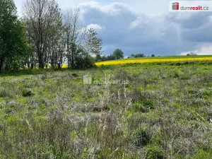Prodej pozemku pro bydlení, Rudná pod Pradědem - Stará Rudná, 3978 m2