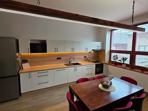 Prodej rodinného domu, Ostrava, Zengrova, 397 m2