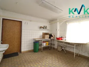 Prodej výrobních prostor, Toužim, Karlovarská, 185 m2