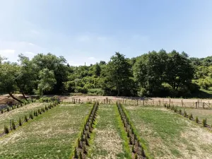 Pronájem bytu 1+kk, Slaný, Lázeňská, 33 m2