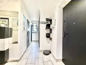 Prodej bytu 2+1, Český Těšín, Mánesova, 53 m2