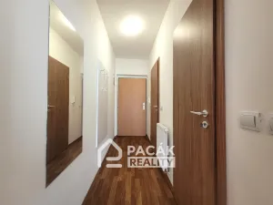 Pronájem bytu 1+kk, Olomouc - Povel, Jeremiášova, 39 m2