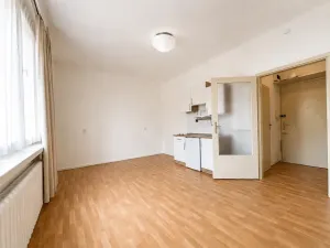 Prodej bytu 1+kk, Praha - Nové Město, Petrská, 25 m2