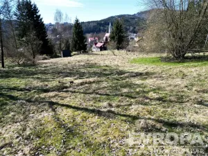 Prodej pozemku pro bydlení, Tanvald, 7881 m2