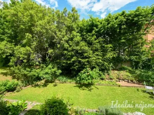 Pronájem bytu 3+kk, Brno, Rezkova, 72 m2