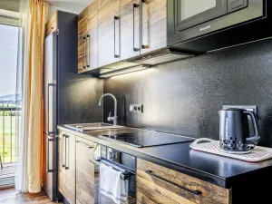 Prodej bytu 2+kk, Červená Voda - Mlýnický Dvůr, 180 m2