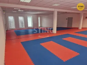 Pronájem kanceláře, Hodonín, Měšťanská, 200 m2