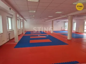 Pronájem kanceláře, Hodonín, Měšťanská, 200 m2