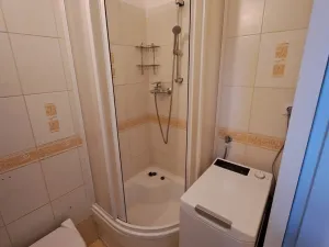 Pronájem bytu 1+1, Praha - Holešovice, Letohradská, 40 m2