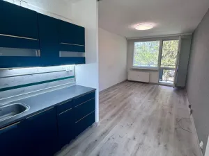 Pronájem bytu 2+kk, Bílina, Tylova, 40 m2