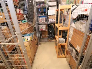 Pronájem bytu 2+kk, Praha - Žižkov, Jeseniova, 60 m2