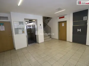 Pronájem bytu 2+kk, Praha - Žižkov, Jeseniova, 60 m2