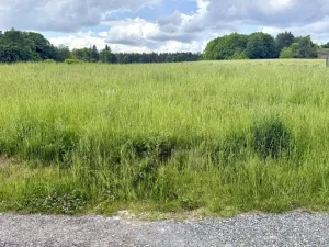 Prodej pozemku pro bydlení, Stříbrná Skalice - Kostelní Střimelice, 1000 m2