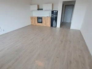 Pronájem bytu 1+kk, Olomouc, Loudova, 37 m2