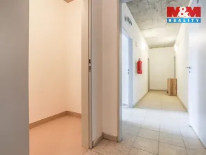Pronájem bytu 2+kk, Plzeň - Černice, Střední cesta, 59 m2
