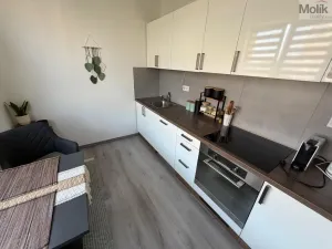 Prodej bytu 2+1, Most, Jaroslava Vrchlického, 54 m2