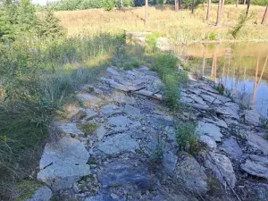 Pronájem rybníku, Hostim, 3504 m2