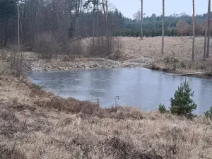 Pronájem rybníku, Hostim, 3504 m2
