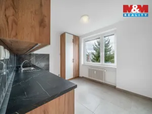 Pronájem bytu 1+1, Plzeň - Východní Předměstí, Motýlí, 39 m2