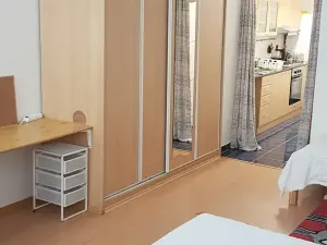 Pronájem bytu 1+1, Brno, Ptašínského, 40 m2