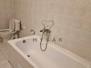 Pronájem bytu 2+kk, České Budějovice, Holečkova, 56 m2