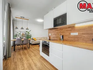 Prodej bytu 2+kk, Praha - Žižkov, Pod lipami, 53 m2