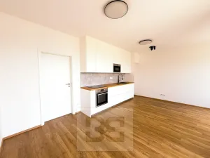 Pronájem bytu 1+kk, Plzeň, Železná, 34 m2