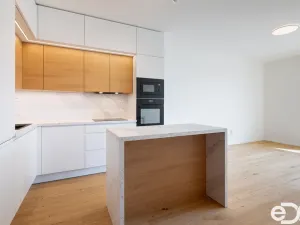 Pronájem bytu 2+kk, Brandýs nad Labem-Stará Boleslav - Brandýs nad Labem, Dřevčická, 52 m2