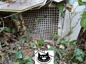Prodej chaty, Příbram, Hatě, 51 m2