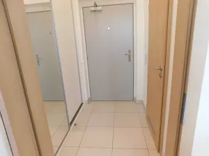 Pronájem bytu 1+kk, Praha - Nusle, Bartoškova, 36 m2
