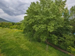 Prodej bytu 4+kk, Lovosice, Zámecká, 90 m2