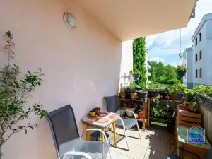 Prodej bytu 3+kk, Plzeň - Bolevec, Studentská, 75 m2