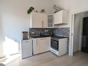 Pronájem bytu 1+kk, Olomouc, Wolkerova, 26 m2