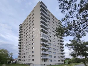 Pronájem bytu 1+kk, Praha - Braník, Údolní, 24 m2