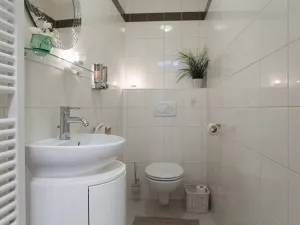 Prodej bytu 2+kk, Praha - Staré Město, Liliová, 127 m2