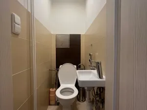 Pronájem bytu 2+1, Praha, Šenovská, 55 m2