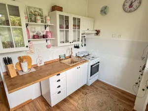 Pronájem bytu 1+1, Ústí nad Labem - Střekov, Střekovské nábřeží, 37 m2